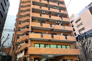 ライオンズマンション東本町第参　中古 マンション