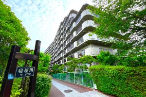 寝屋川コーポラス　中古 マンション